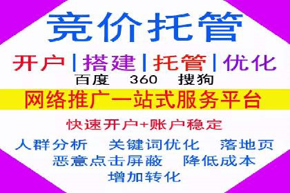 网络营销实战：成功竞价推广案例分析