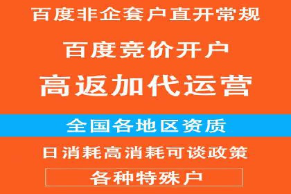 某大型企业利用信息流代理提升数据效率的实践